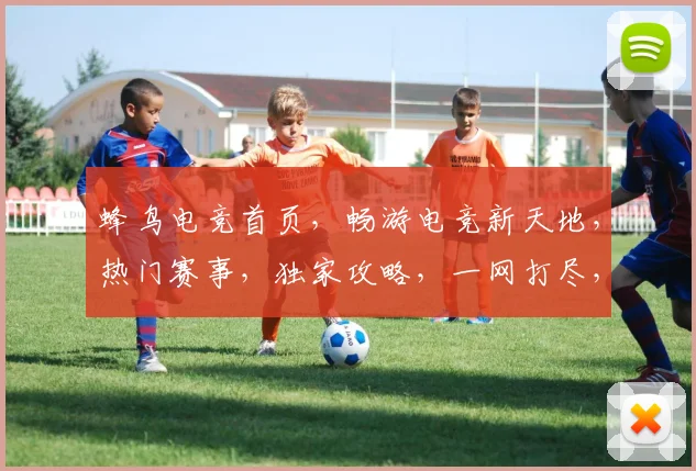 蜂鸟电竞首页，畅游电竞新天地，热门赛事，独家攻略，一网打尽，尽享电竞盛宴