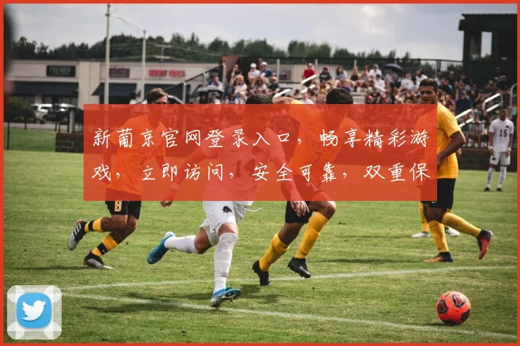 新葡京官网登录入口，畅享精彩游戏，立即访问，安全可靠，双重保障，速来体验