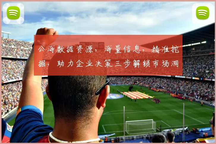 公海数据资源，海量信息，精准挖掘，助力企业决策三步解锁市场洞察