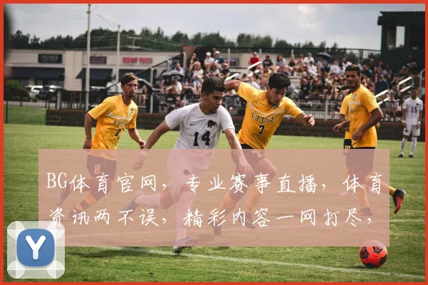 BG体育官网，专业赛事直播，体育资讯两不误，精彩内容一网打尽，助您畅享运动盛宴
