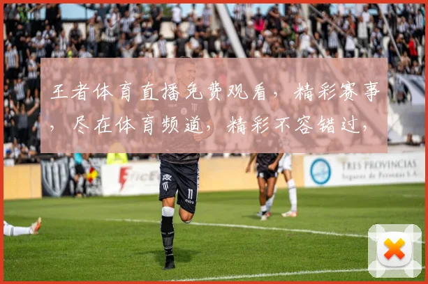 王者体育直播免费观看，精彩赛事，尽在体育频道，精彩不容错过，不容错过，不容错过